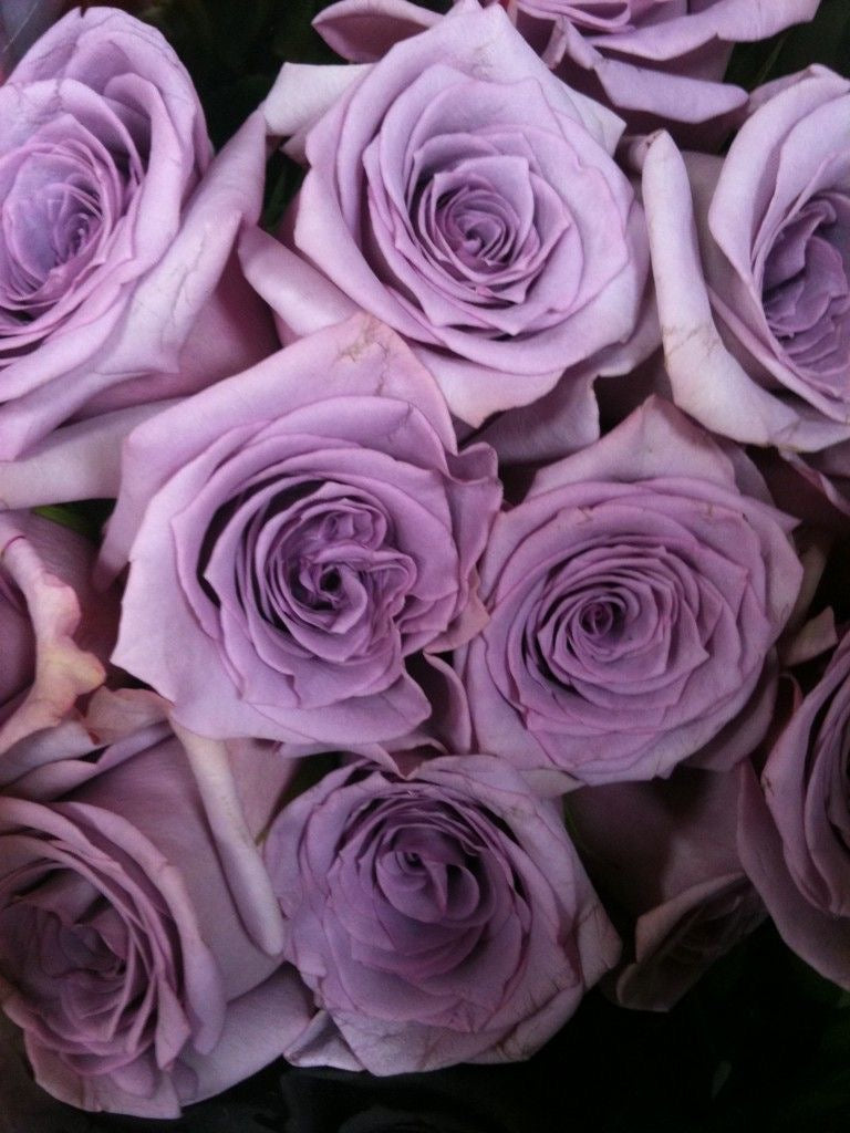 Purple Roses Bouquet