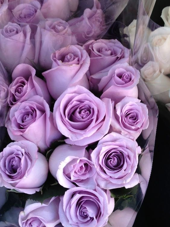 Purple Roses Bouquet