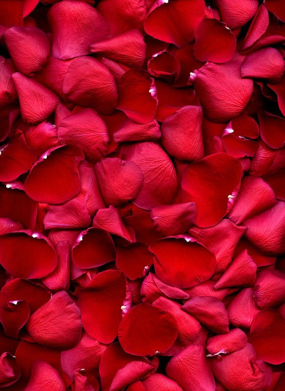 Rose Petals