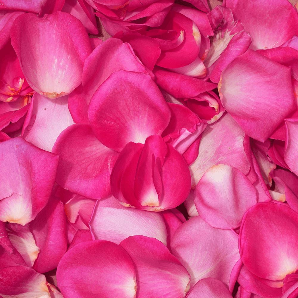 Rose Petals